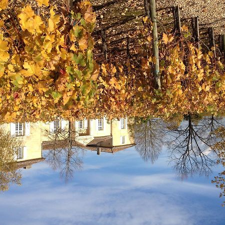 Chateau Belles Graves Bed & Breakfast Pomérols Екстериор снимка