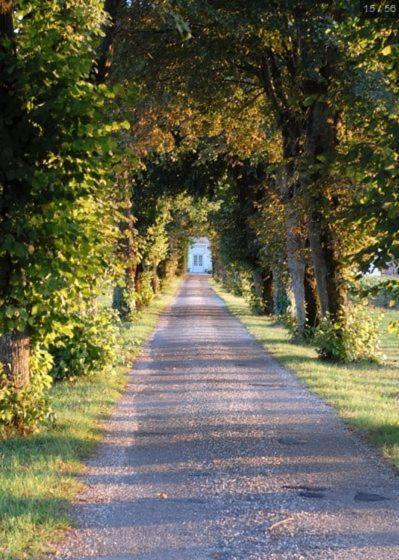 Chateau Belles Graves Bed & Breakfast Pomérols Екстериор снимка