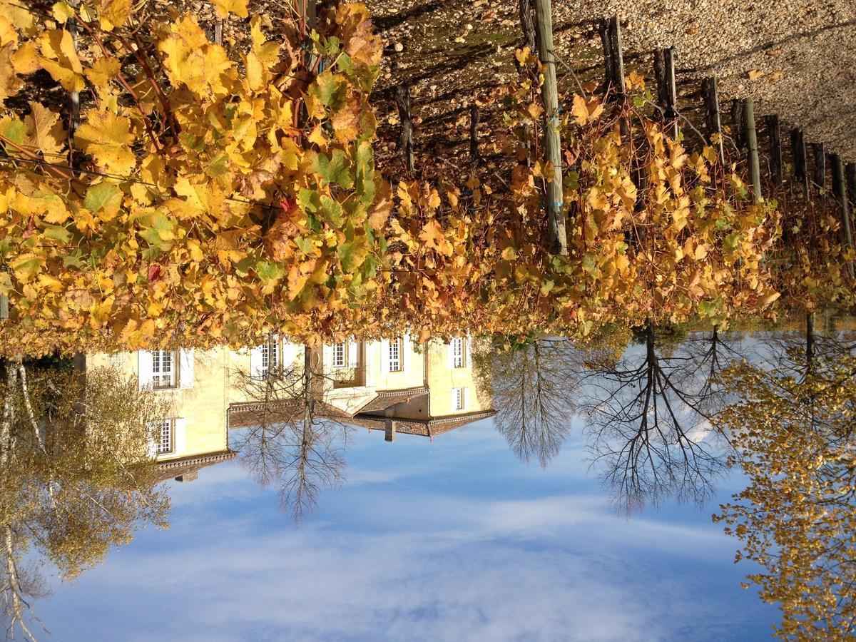 Chateau Belles Graves Bed & Breakfast Pomérols Екстериор снимка